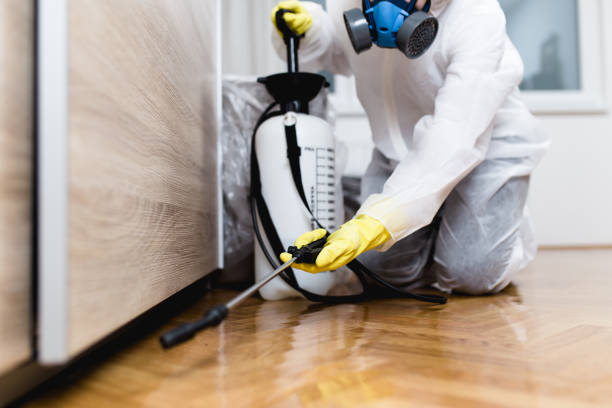 Best Affordable Pest Control Services  in Warm Springs, CA