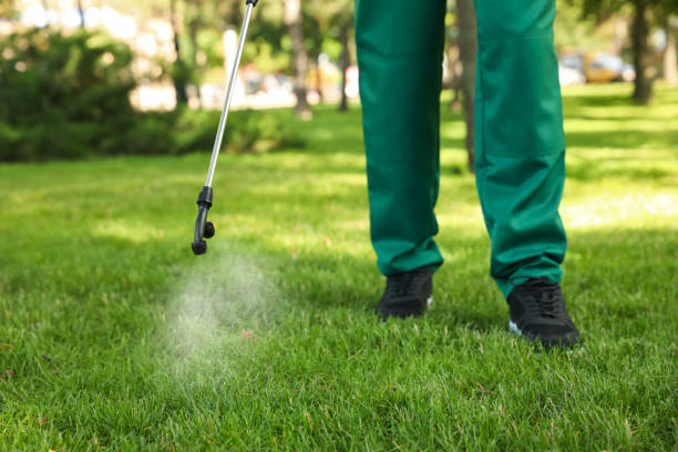 Best Termite Control Services  in Warm Springs, CA