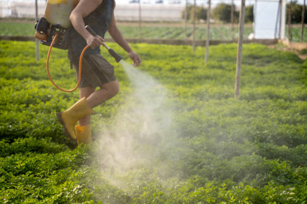 Best Pest Control Near Me  in Warm Springs, CA