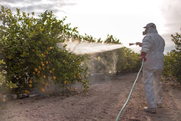 Best Pest Control Near Me  in Warm Springs, CA